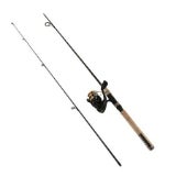 best penn surf fishing rods Penn Prevail III Spinning Surf Rod